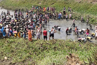 'Fish Utsav' a festival which gets celebrated in Bihar's village