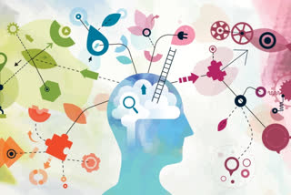 ह्यूमन ब्रेन सेल्स, human brain cells, how brain helps in creating memories, human brain health, importance of brain cells, role of brain cells