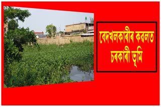 Illegal encroachment on government land in Goalpara