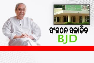 BJD