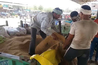 wheat procurement center