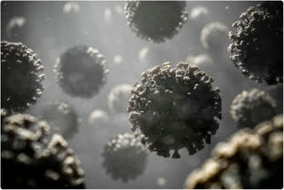 Ninety-seven percent of the samples taken from those who died of Covid in Delhi from January to March had the Omicron variant of coronavirus