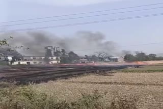 wheat crop caught fire in Paonta Sahib