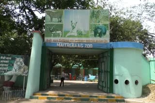 Relief to animals in Bhilai Maitri Bagh Zoo