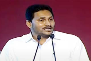 CM Jagan Inaugurated Grasim Industry