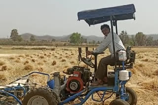Tehsildar harvested crop in betul