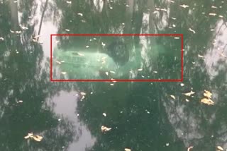 car submerged in bhakra canal in sirsa