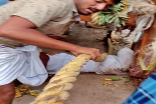 ರಥದ ಗಾಲಿಗೆ ಸಿಲುಕಿ ಭಕ್ತ ಸಾವು