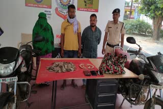 Smugglers of pig teeth and pangolin bark arrested