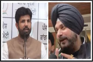 Punjab Congress needs to 're-invent', lost due to mafia rule, claims Navjot Singh Sidhu