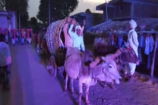 Doctor baarat on bullock cart in Betul