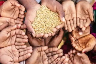 One Nation One Ration Card scheme covers 97% eligible population: Govt