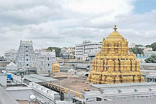 Tirumala Latest News