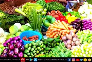 lucknow  Vegetable Price  राजधानी में क्या हैं सब्जियों के दाम  क्या हैं सब्जियों के दाम  lucknow latest news  etv bharat up news  today Vegetable Price in lucknow  सब्जियों के दाम