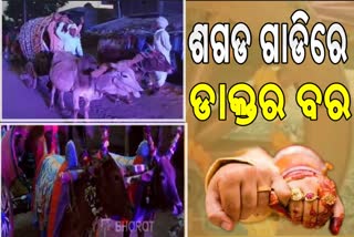 ପୋଶାରେ ଡାକ୍ତର, ଶଗଡ ଗାଡିରେ ଗଲେ ବର