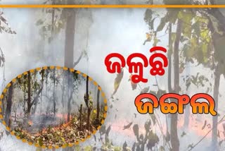 fire breaks out at khandi dunguriguda forest in kalahandi