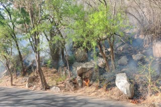 Forest Fire in Sirohi