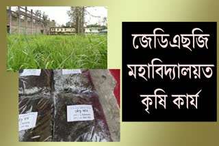 চৰ্চাত বোকাখাতৰ এখন মহাবিদ্যালয়