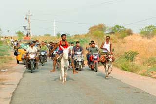 donkey race at Chariot Festival in anantapur district