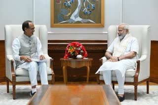 CM Shivraj met PM Modi