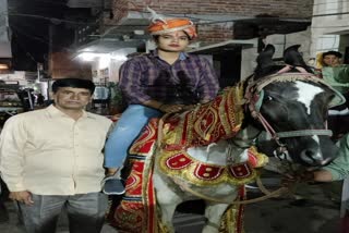 bride rode mare in fatehabad