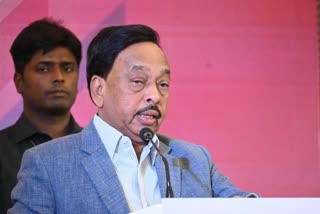 Narayan Rane