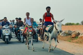 Andhra Pradesh: Donkey Race held chariot festival there...