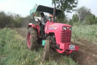 farmer distroy onion crop in 2 acres yeola