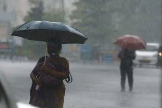 weather update  കാലാവസ്ഥ റിപ്പോർട്ട്  HEAVY RAINFALL LIKELY TO CONTINUE IN KERALA  കേരളത്തിൽ ശക്തമായ മഴ തുടരും  ശക്തമായ കാറ്റിനും ഇടിമിന്നലിനും സാധ്യത  Chance of strong winds and thunderstorms  heavy wind and thunderstorm  weatrher report in kerala  മഴ തുടരും  RAINFALL LIKELY TO CONTINUE