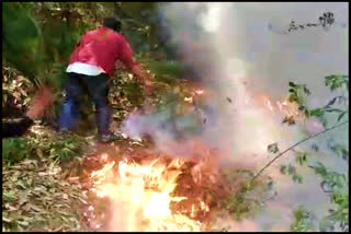 Fire In Summerhill Forest