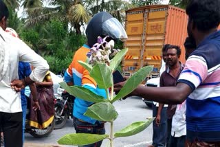 ಮದ್ದೂರು ಬಳಿ ಡಿವೈಡರ್​ಗೆ ಬೈಕ್ ಡಿಕ್ಕಿ