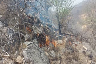 Fire in the hills of Galta forest area