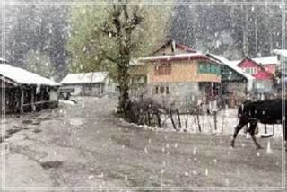 Snowfall in Sonamarg: وادیٔ کشمیر کے مشہور سیاحتی مقام سونمرگ میں برفباری