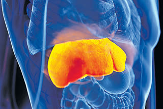 Mystery Liver Disease