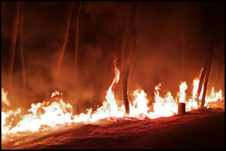 FIRE IN AMLEHAR FOREST UNA