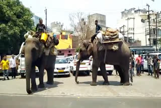 ramnagar elephants uncontroll