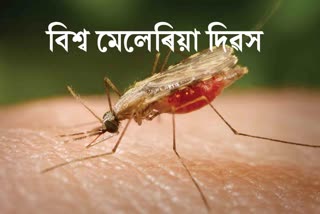 world malaria day observed at golaghat