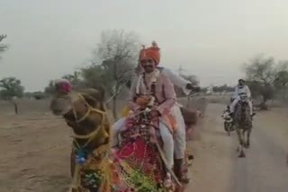 military bridegroom reached the procession sitting on a camel