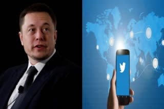 As takeover fires Twitter stock, Elon Musk turns mushy and cute