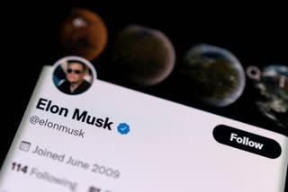 Elon Musk Bought Twitter