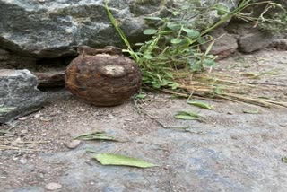 grenade recover in Delhi  grenade siezed in Delhi  grenade in Delhi  പഴയ ഗ്രനേഡ് കണ്ടെത്തി  മൊഹമ്മദ്‌പൂരില്‍  ബാഗിനുള്ളില്‍ ഒളിപ്പിച്ച പഴയ ഗ്രനേഡ് കണ്ടെത്തി