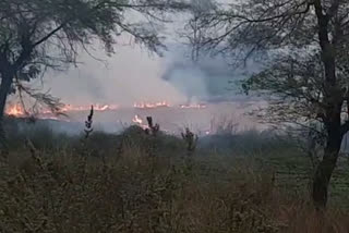 parali burning in jabalpur