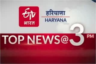 Haryana News In Hindi