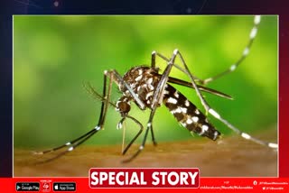 Malaria file photo