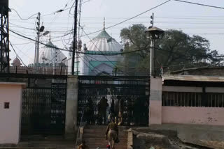 Mathura Shahi mosque
