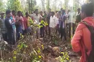 Jhargram Elephant Attack News