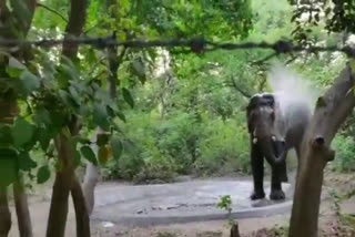 water pond for wildlife in Haridwar