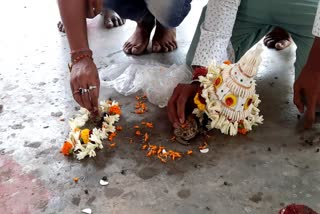 Frog Wedding in Arambag