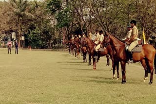 Special Care for Dogs and Horses of KP Before IPL Match in Eden Gardens