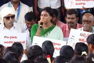 sharmila padayatra